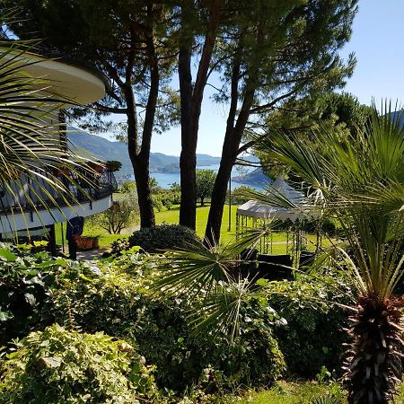 Villa Gaia サーレ・マラジーノ エクステリア 写真